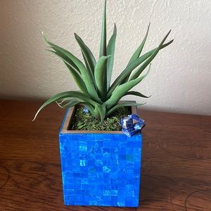 Faux succulent in deep blue dyed shell mosaic cube.